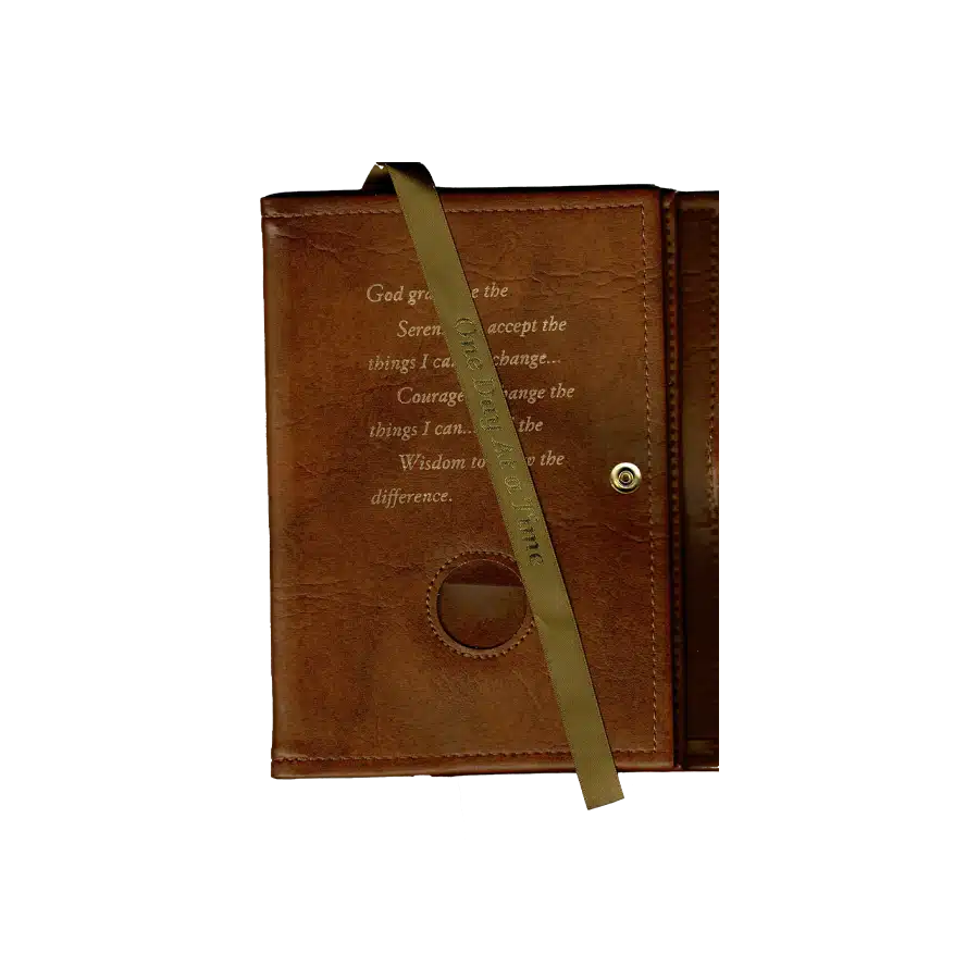 AA Tan Dual Big Book Cover