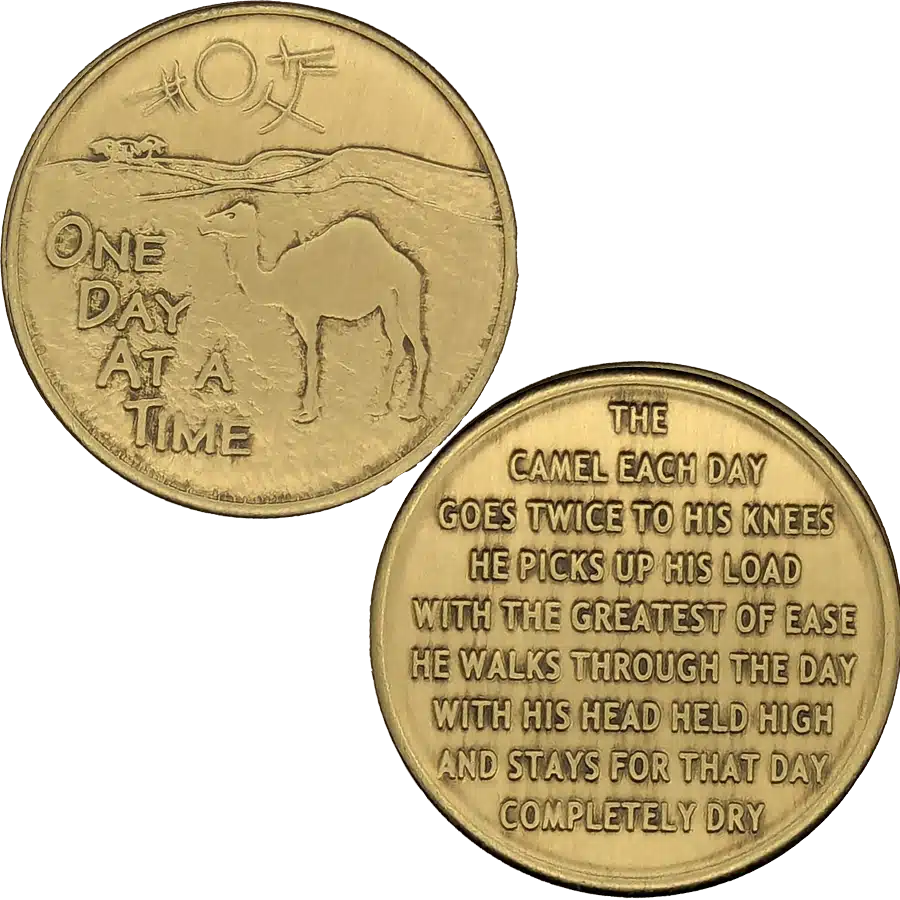Camel Affirmation Coin - Image 2