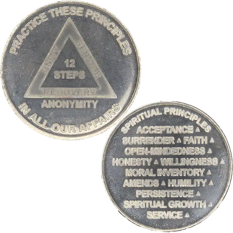 Practice these principles 12 Steps Affirmation Chip - Image 2